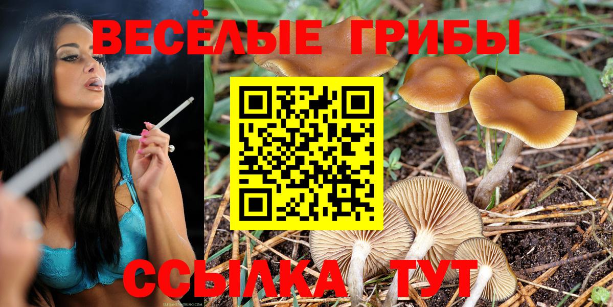Псилоцибиновые грибы Psilocybe  Вход с VPN  Муром 